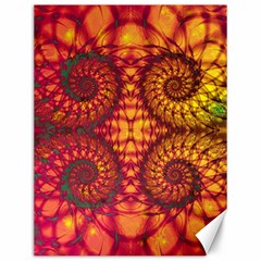 Abstract Art Pattern Fractal Design Canvas 12  X 16  by Ravend