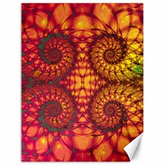 Abstract Art Pattern Fractal Design Canvas 18  X 24  by Ravend