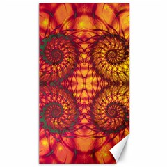 Abstract Art Pattern Fractal Design Canvas 40  X 72  by Ravend