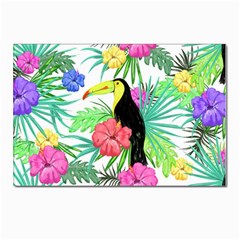 Sheets Tropical Nature Green Plant Postcards 5  X 7  (pkg Of 10) by Ravend