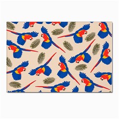 Bird Animals Parrot Pattern Postcards 5  X 7  (pkg Of 10) by Ravend