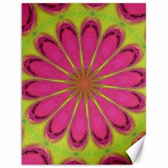 Floral Art Design Pattern Canvas 18  x 24 