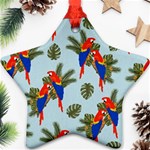 Birds Animals Nature Background Star Ornament (Two Sides) Front