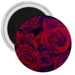 Roses Red Purple Flowers Pretty 3  Magnets by Ravend