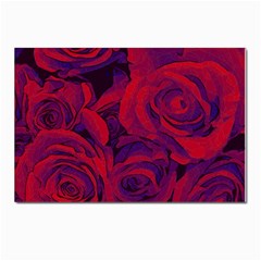 Roses Red Purple Flowers Pretty Postcard 4 x 6  (pkg Of 10) by Ravend