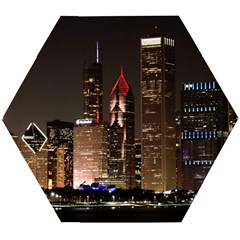 Chicago City Architecture Downtown Wooden Puzzle Hexagon