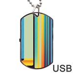 Colorful Rainbow Striped Pattern Dog Tag USB Flash (One Side) Front