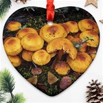 Orange Mushrooms In Patagonia Forest, Ushuaia, Argentina Ornament (Heart) Front