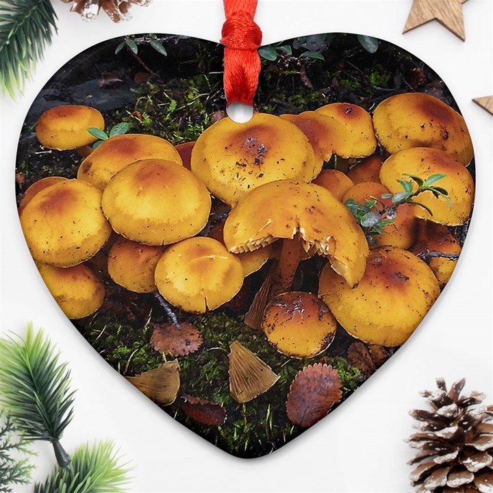 Orange Mushrooms In Patagonia Forest, Ushuaia, Argentina Ornament (Heart)