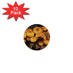 Orange Mushrooms In Patagonia Forest, Ushuaia, Argentina 1  Mini Buttons (10 Pack)  by dflcprintsclothing