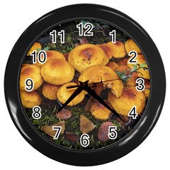 Orange Mushrooms In Patagonia Forest, Ushuaia, Argentina Wall Clock (black) by dflcprintsclothing