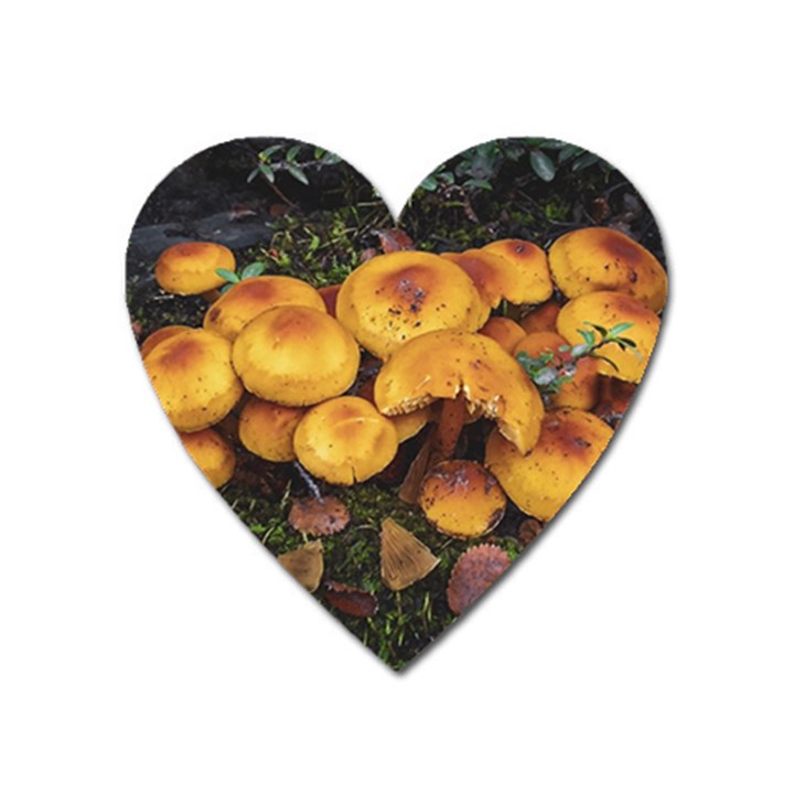 Orange Mushrooms In Patagonia Forest, Ushuaia, Argentina Heart Magnet