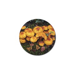 Orange Mushrooms In Patagonia Forest, Ushuaia, Argentina Golf Ball Marker by dflcprintsclothing