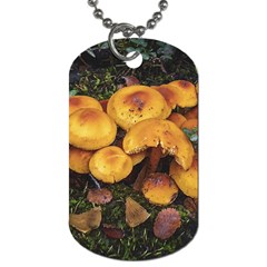 Orange Mushrooms In Patagonia Forest, Ushuaia, Argentina Dog Tag (two Sides) by dflcprintsclothing