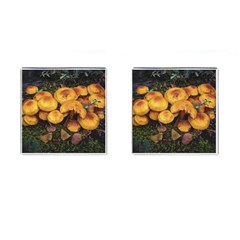 Orange Mushrooms In Patagonia Forest, Ushuaia, Argentina Cufflinks (square) by dflcprintsclothing