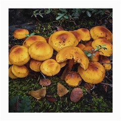 Orange Mushrooms In Patagonia Forest, Ushuaia, Argentina Medium Glasses Cloth (2 Sides) by dflcprintsclothing