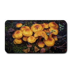 Orange Mushrooms In Patagonia Forest, Ushuaia, Argentina Medium Bar Mat by dflcprintsclothing