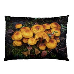 Orange Mushrooms In Patagonia Forest, Ushuaia, Argentina Pillow Case by dflcprintsclothing