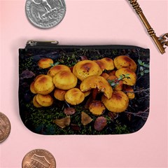 Orange Mushrooms In Patagonia Forest, Ushuaia, Argentina Mini Coin Purse by dflcprintsclothing