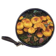 Orange Mushrooms In Patagonia Forest, Ushuaia, Argentina Classic 20-cd Wallets by dflcprintsclothing