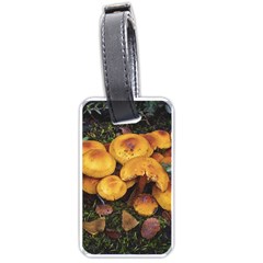 Orange Mushrooms In Patagonia Forest, Ushuaia, Argentina Luggage Tag (one Side) by dflcprintsclothing