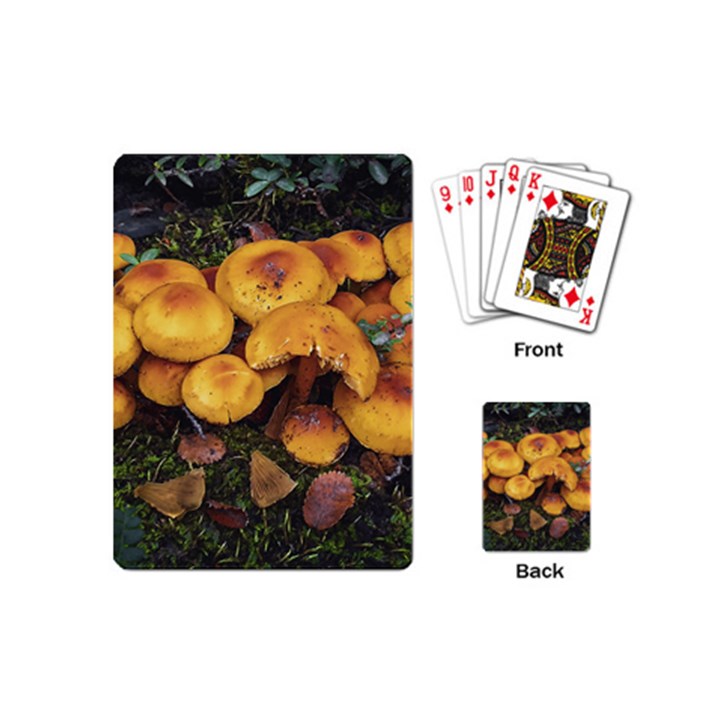 Orange Mushrooms In Patagonia Forest, Ushuaia, Argentina Playing Cards Single Design (Mini)