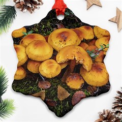 Orange Mushrooms In Patagonia Forest, Ushuaia, Argentina Ornament (snowflake)