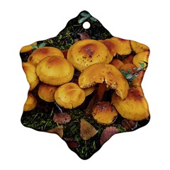 Orange Mushrooms In Patagonia Forest, Ushuaia, Argentina Snowflake Ornament (two Sides) by dflcprintsclothing