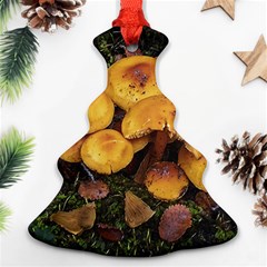 Orange Mushrooms In Patagonia Forest, Ushuaia, Argentina Christmas Tree Ornament (two Sides)