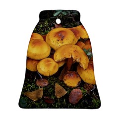 Orange Mushrooms In Patagonia Forest, Ushuaia, Argentina Bell Ornament (two Sides) by dflcprintsclothing