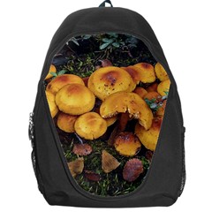 Orange Mushrooms In Patagonia Forest, Ushuaia, Argentina Backpack Bag