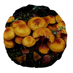 Orange Mushrooms In Patagonia Forest, Ushuaia, Argentina Large 18  Premium Round Cushions by dflcprintsclothing