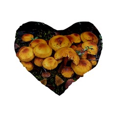 Orange Mushrooms In Patagonia Forest, Ushuaia, Argentina Standard 16  Premium Heart Shape Cushions by dflcprintsclothing