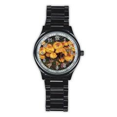 Orange Mushrooms In Patagonia Forest, Ushuaia, Argentina Stainless Steel Round Watch by dflcprintsclothing