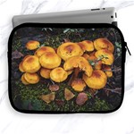 Orange Mushrooms In Patagonia Forest, Ushuaia, Argentina Apple iPad 2/3/4 Zipper Cases Front