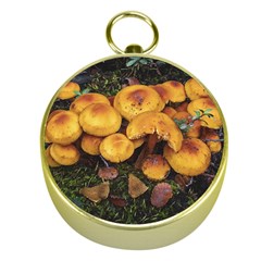 Orange Mushrooms In Patagonia Forest, Ushuaia, Argentina Gold Compasses by dflcprintsclothing