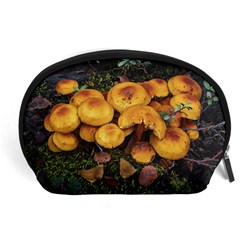 Orange Mushrooms In Patagonia Forest, Ushuaia, Argentina Accessory Pouch (large)