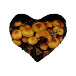 Orange Mushrooms In Patagonia Forest, Ushuaia, Argentina Standard 16  Premium Flano Heart Shape Cushions Back