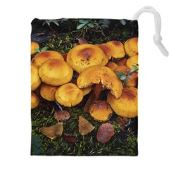 Orange Mushrooms In Patagonia Forest, Ushuaia, Argentina Drawstring Pouch (4xl) by dflcprintsclothing