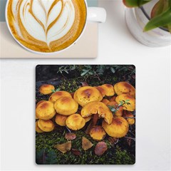 Orange Mushrooms In Patagonia Forest, Ushuaia, Argentina Uv Print Square Tile Coaster  by dflcprintsclothing