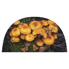 Orange Mushrooms In Patagonia Forest, Ushuaia, Argentina Anti Scalding Pot Cap by dflcprintsclothing