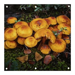 Orange Mushrooms In Patagonia Forest, Ushuaia, Argentina Banner And Sign 3  X 3  by dflcprintsclothing