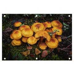 Orange Mushrooms In Patagonia Forest, Ushuaia, Argentina Banner And Sign 6  X 4  by dflcprintsclothing