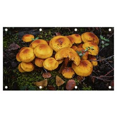 Orange Mushrooms In Patagonia Forest, Ushuaia, Argentina Banner And Sign 7  X 4  by dflcprintsclothing