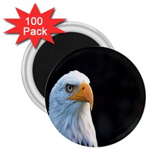 Bird 2 25  Magnets (100 Pack)  by artworkshop