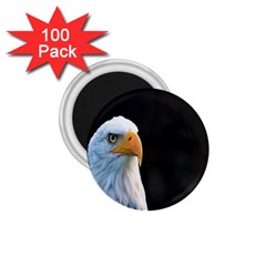 Bird 1 75  Magnets (100 Pack)  by artworkshop