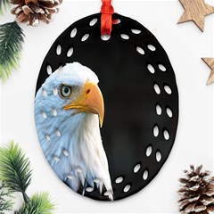 Bird Oval Filigree Ornament (two Sides) by artworkshop