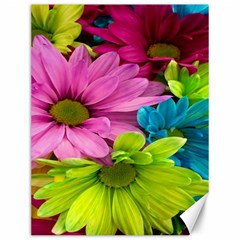 Flowers Wallpaper Canvas 12  X 16 