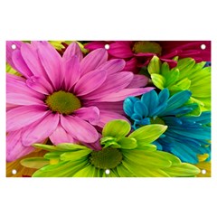 Flowers Wallpaper Banner And Sign 6  X 4  by artworkshop