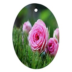 Flowers Ornament (oval)